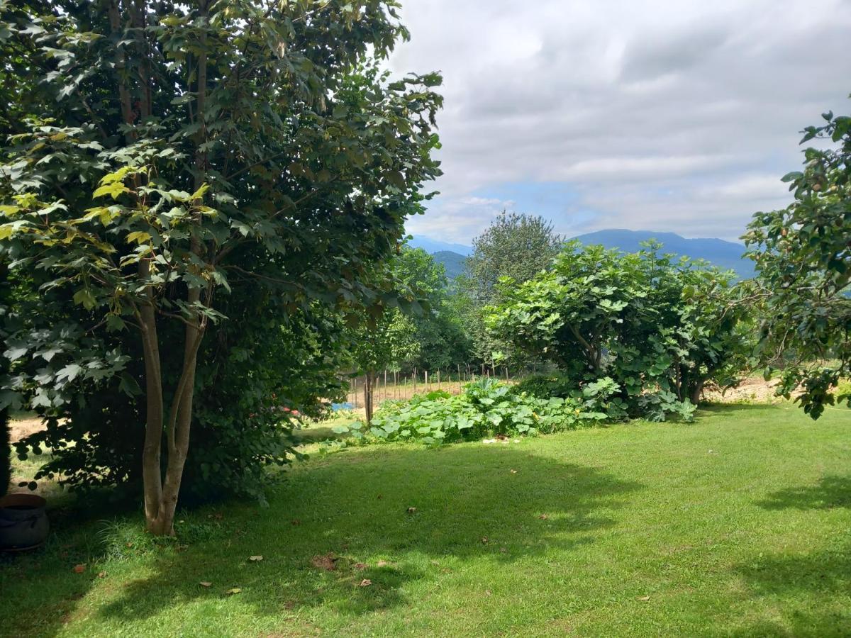 Maisonnette A La Campagne Ariege Villa Saint-Girons  Luaran gambar